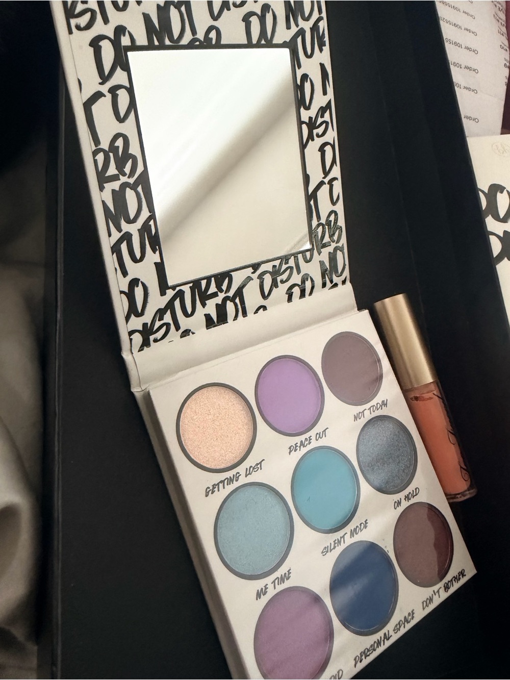 NEW Too Faced Lip Gloss + BH Cosmetics "Do Not Disturb" Palette with Large 🪞